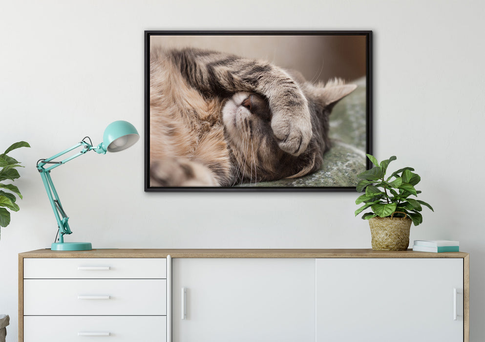 Schüchterne niedliche Katze auf Leinwandbild gerahmt verschiedene Größen im Wohnzimmer