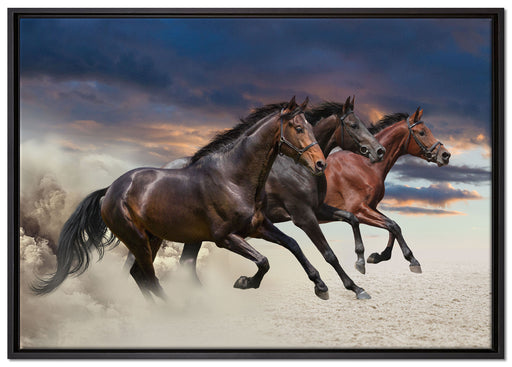 Drei wilde Westernpferde auf Leinwandbild gerahmt Größe 100x70