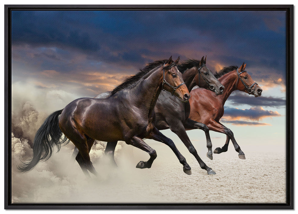 Drei wilde Westernpferde auf Leinwandbild gerahmt Größe 100x70