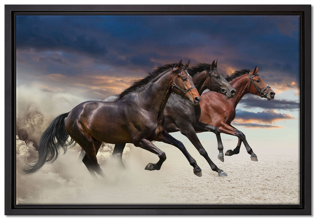 Drei wilde Westernpferde auf Leinwandbild gerahmt Größe 60x40