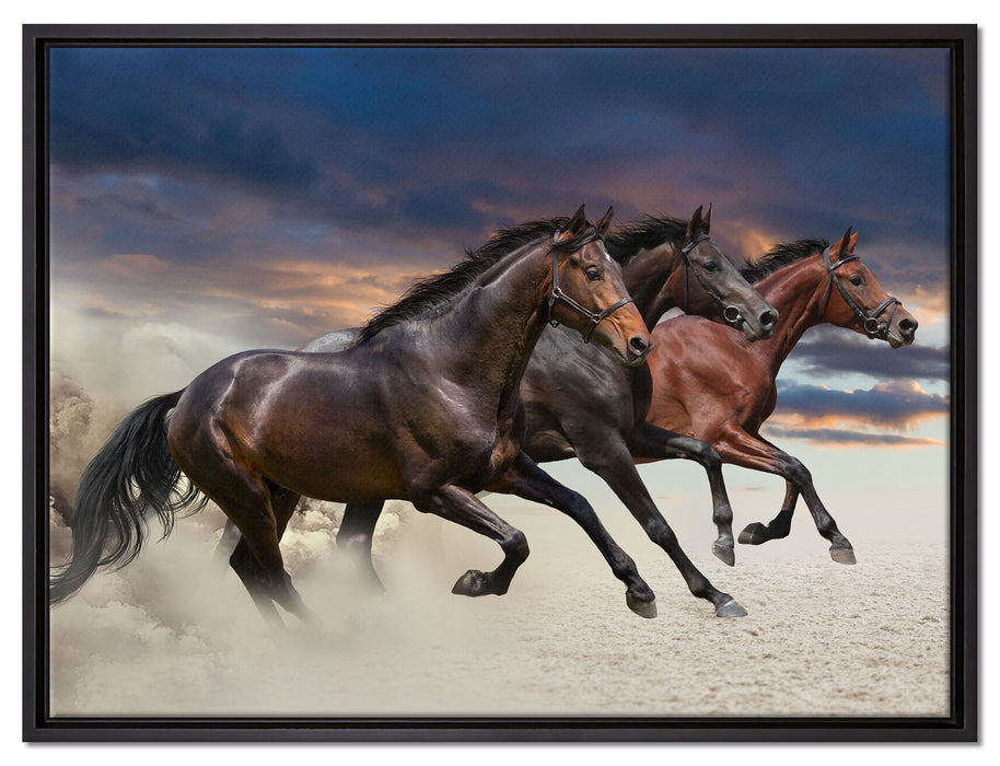 Drei wilde Westernpferde auf Leinwandbild gerahmt Größe 80x60