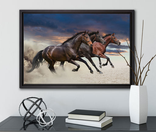 Drei wilde Westernpferde auf Leinwandbild gerahmt mit Kirschblüten