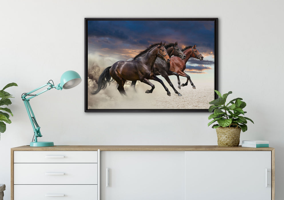 Drei wilde Westernpferde auf Leinwandbild gerahmt verschiedene Größen im Wohnzimmer