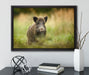 Stolzes Wildschwein im Wald auf Leinwandbild gerahmt mit Kirschblüten