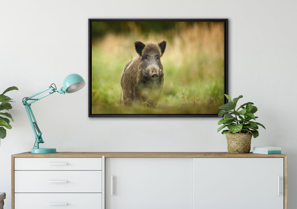 Stolzes Wildschwein im Wald auf Leinwandbild gerahmt verschiedene Größen im Wohnzimmer
