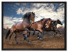 Wilde freie Pferde auf Leinwandbild gerahmt Größe 80x60