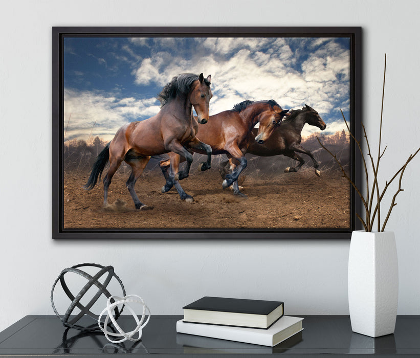 Wilde freie Pferde auf Leinwandbild gerahmt mit Kirschblüten
