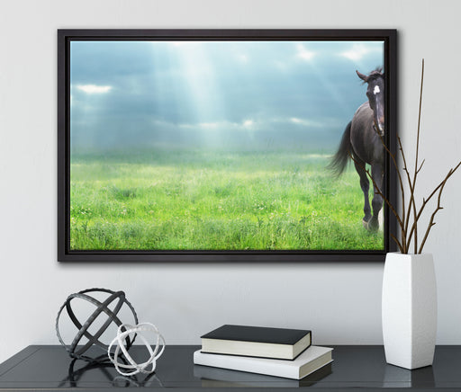 Hengst auf Wiese auf Leinwandbild gerahmt mit Kirschblüten