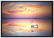 Schwan bei Sonnenuntergang auf Leinwandbild gerahmt Größe 100x70