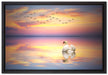 Schwan bei Sonnenuntergang auf Leinwandbild gerahmt Größe 60x40