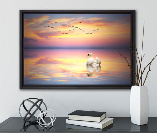 Schwan bei Sonnenuntergang auf Leinwandbild gerahmt mit Kirschblüten