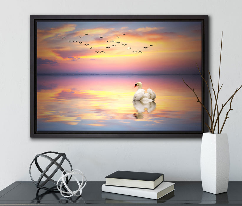 Schwan bei Sonnenuntergang auf Leinwandbild gerahmt mit Kirschblüten