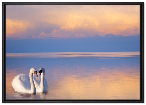 Schwäne in Abenddämmerung auf Leinwandbild gerahmt Größe 100x70