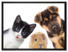 Trio Hund Katze Meerschwein auf Leinwandbild gerahmt Größe 80x60