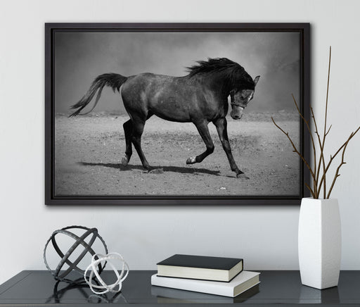 Hengst schwarz auf Leinwandbild gerahmt mit Kirschblüten
