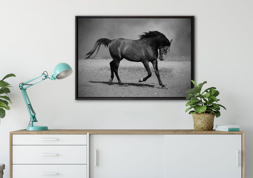 Hengst schwarz auf Leinwandbild gerahmt verschiedene Größen im Wohnzimmer