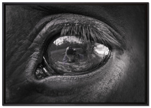 Auge schwarzer Hengst schwarz weiß auf Leinwandbild gerahmt Größe 100x70