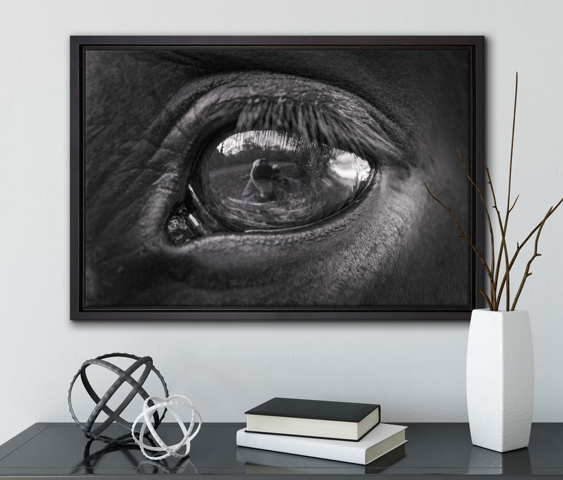Auge schwarzer Hengst schwarz weiß auf Leinwandbild gerahmt mit Kirschblüten