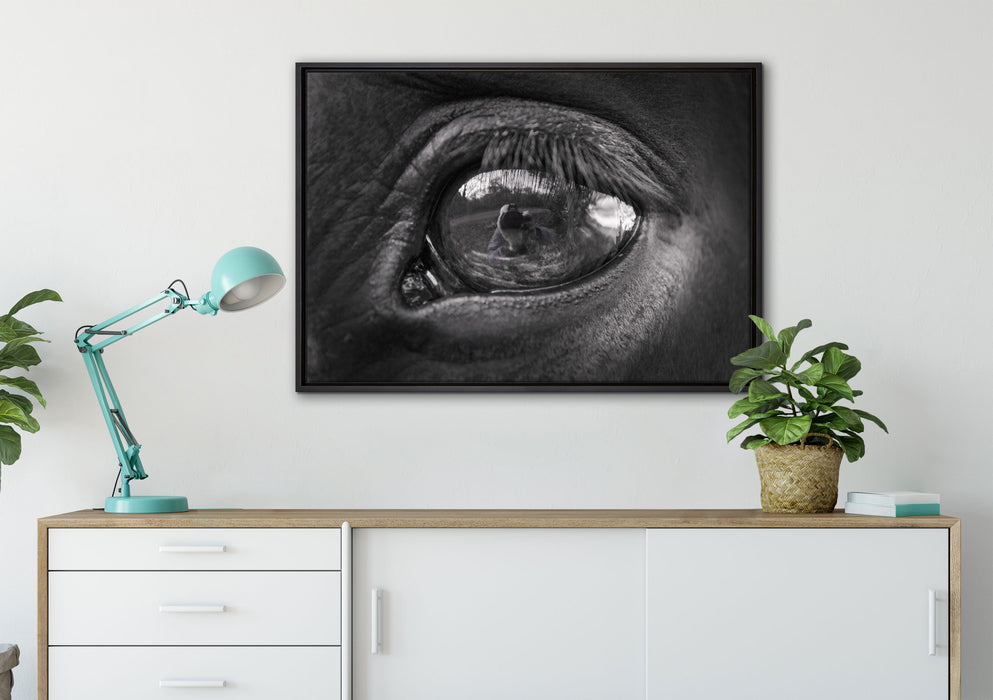 Auge schwarzer Hengst schwarz weiß auf Leinwandbild gerahmt verschiedene Größen im Wohnzimmer