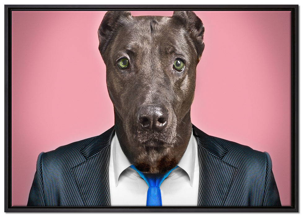 Manager Hund mit Anzug auf Leinwandbild gerahmt Größe 100x70