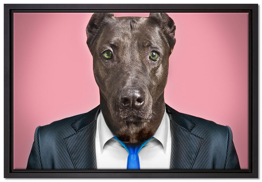 Manager Hund mit Anzug auf Leinwandbild gerahmt Größe 60x40