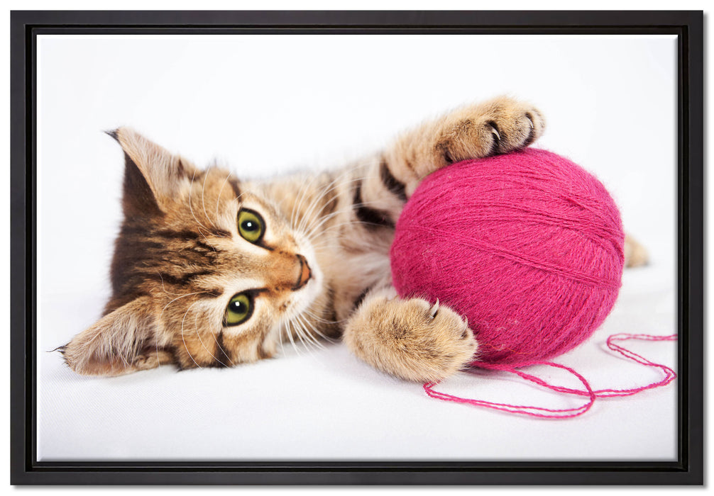 Kätzchen mit Wollknäuel auf Leinwandbild gerahmt Größe 60x40