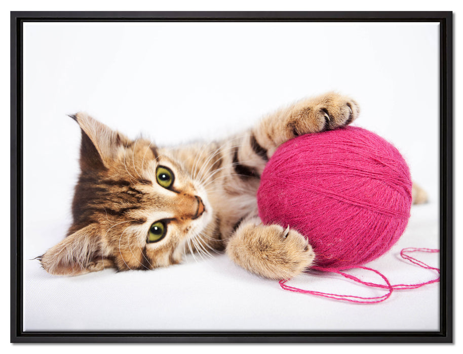 Kätzchen mit Wollknäuel auf Leinwandbild gerahmt Größe 80x60