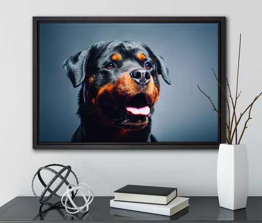 Treuer Rottweiler auf Leinwandbild gerahmt mit Kirschblüten