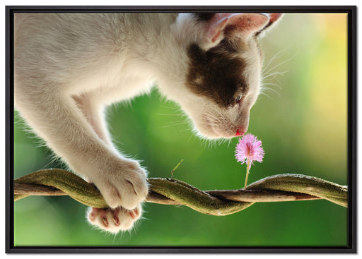 Süßes Kätzchen mit Blüte auf Leinwandbild gerahmt Größe 100x70