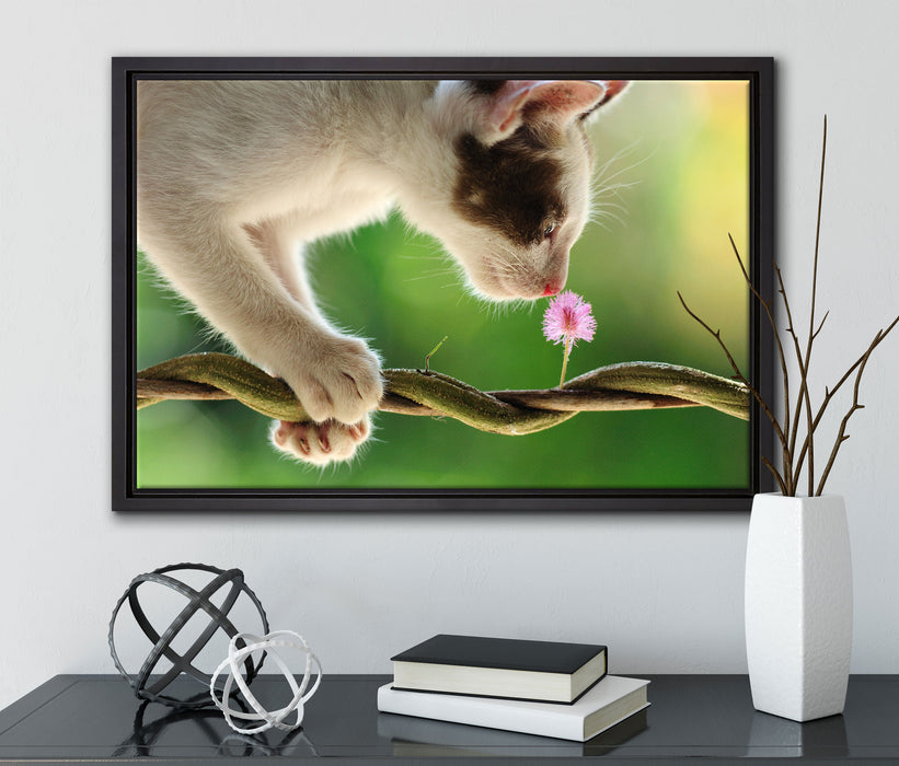 Süßes Kätzchen mit Blüte auf Leinwandbild gerahmt mit Kirschblüten
