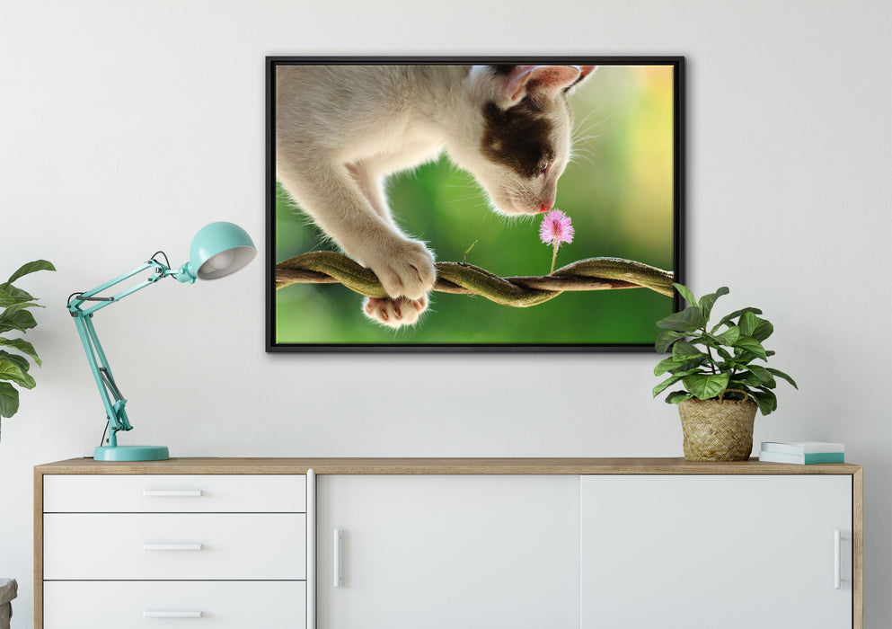 Süßes Kätzchen mit Blüte auf Leinwandbild gerahmt verschiedene Größen im Wohnzimmer