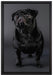 Süßer schwarzer Mops auf Leinwandbild gerahmt Größe 60x40