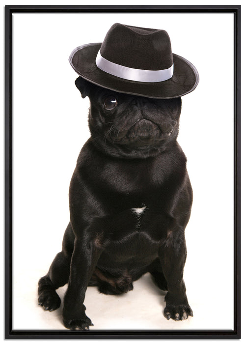 Mops mit Mafia Hut auf Leinwandbild gerahmt Größe 100x70