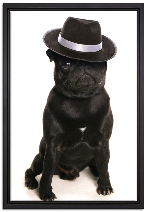 Mops mit Mafia Hut auf Leinwandbild gerahmt Größe 60x40