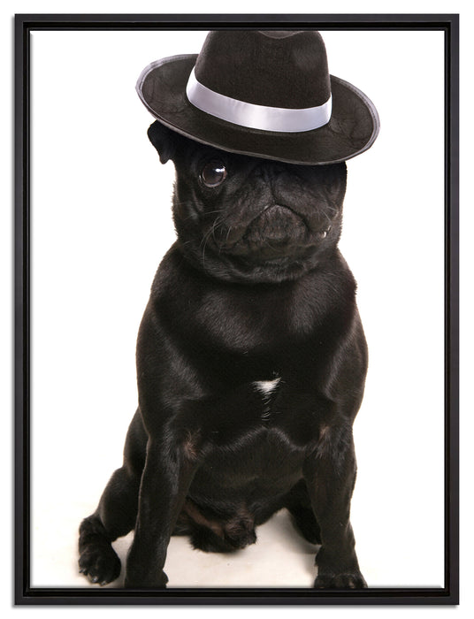 Mops mit Mafia Hut auf Leinwandbild gerahmt Größe 80x60