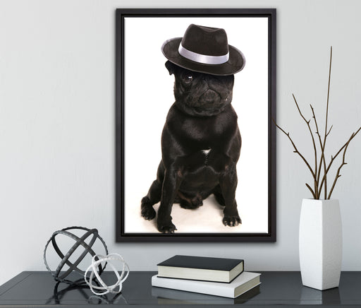 Mops mit Mafia Hut auf Leinwandbild gerahmt mit Kirschblüten