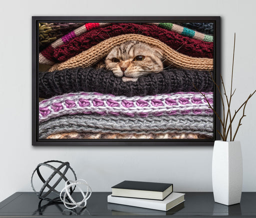Katzen zwischen Pullovern auf Leinwandbild gerahmt mit Kirschblüten