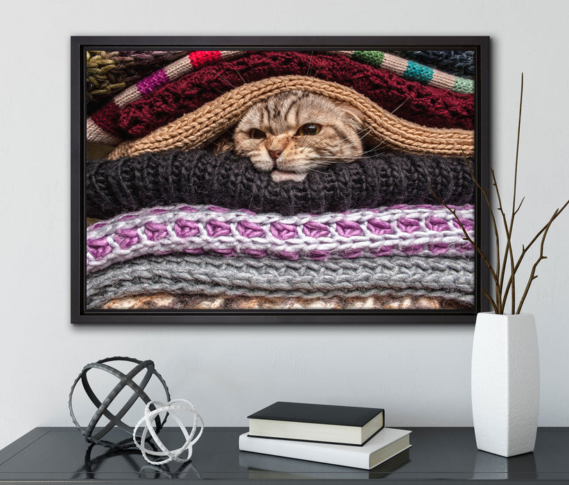 Katzen zwischen Pullovern auf Leinwandbild gerahmt mit Kirschblüten