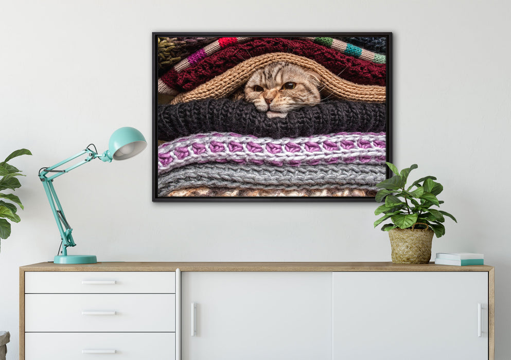 Katzen zwischen Pullovern auf Leinwandbild gerahmt verschiedene Größen im Wohnzimmer