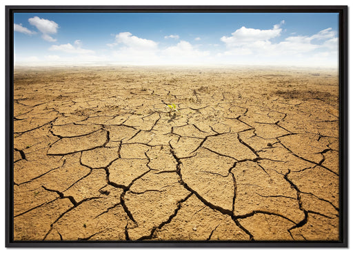 Rissiger Wüstenboden auf Leinwandbild gerahmt Größe 100x70
