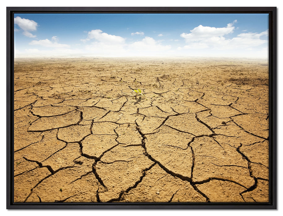 Rissiger Wüstenboden auf Leinwandbild gerahmt Größe 80x60