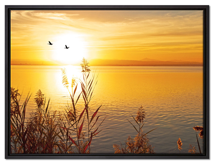 Sonnenuntergang am See auf Leinwandbild gerahmt Größe 80x60