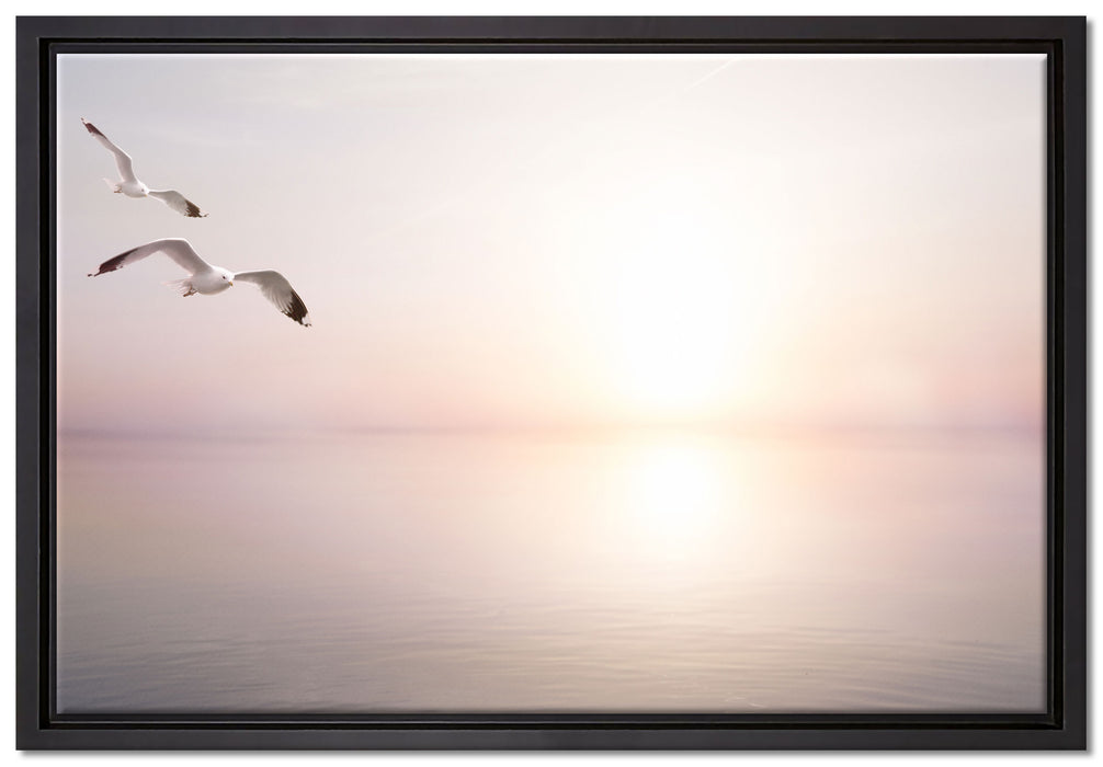 Möwen am Meer bei Sonnenaufgang auf Leinwandbild gerahmt Größe 60x40