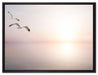 Möwen am Meer bei Sonnenaufgang auf Leinwandbild gerahmt Größe 80x60