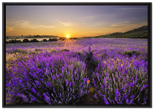 Lavendelfeld in Frankreich auf Leinwandbild gerahmt Größe 100x70