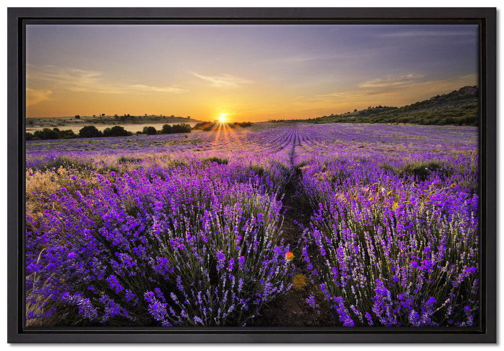 Lavendelfeld in Frankreich auf Leinwandbild gerahmt Größe 60x40