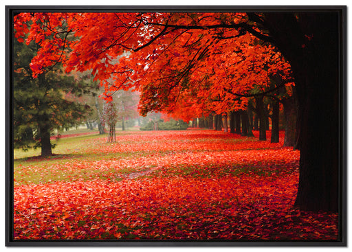 Rot gefärbter Park im Herbst auf Leinwandbild gerahmt Größe 100x70