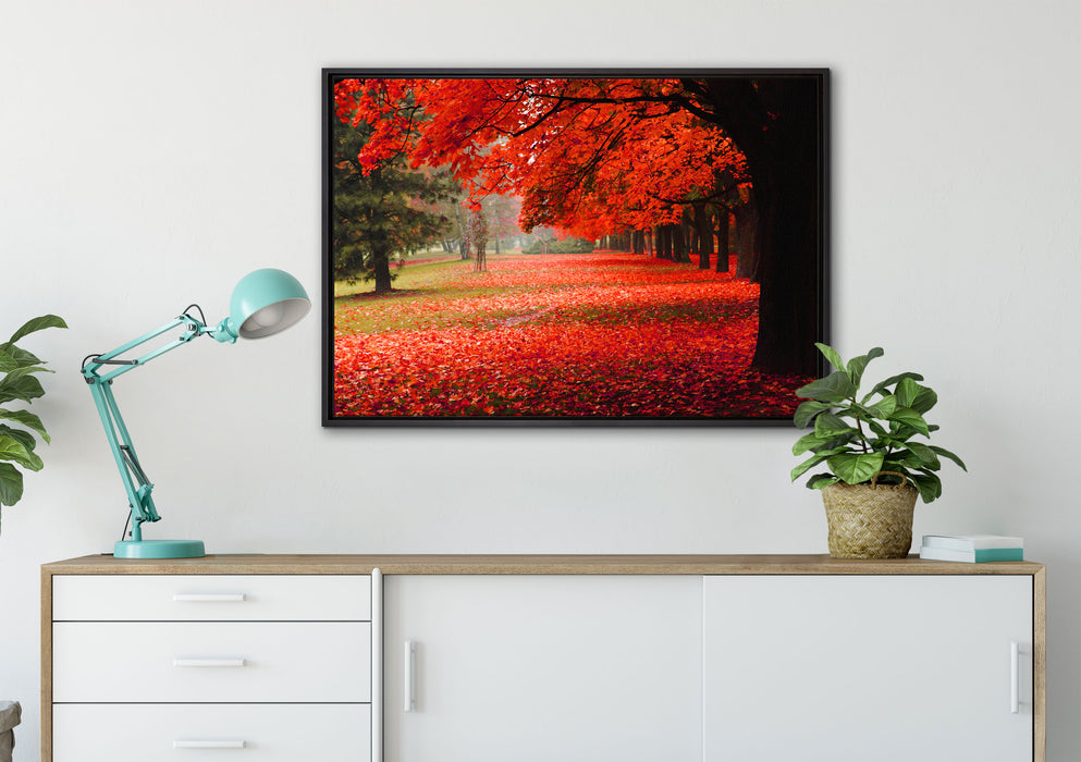 Rot gefärbter Park im Herbst auf Leinwandbild gerahmt verschiedene Größen im Wohnzimmer