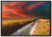 Getreidefeld mit Mohnblüten auf Leinwandbild gerahmt Größe 100x70