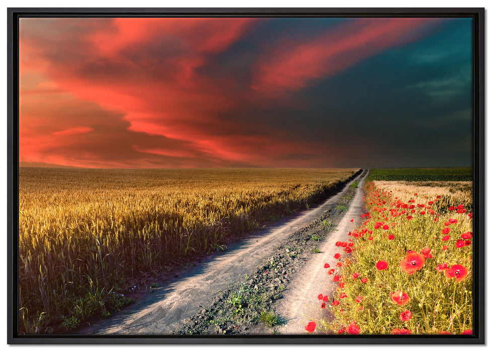 Getreidefeld mit Mohnblüten auf Leinwandbild gerahmt Größe 100x70